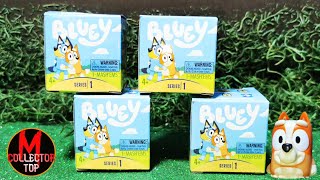 Caja Sorpresa Bluey Serie 1