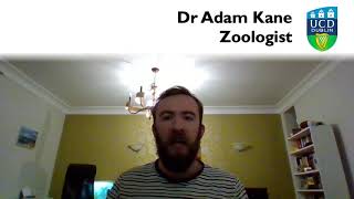 How do birds see colour? How do they pee? Adam Kane  |  University College Dublin