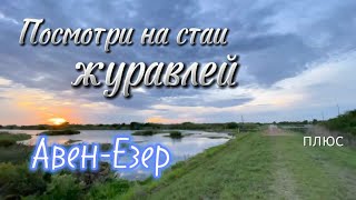 Посмотри на стаи журавлей.  группа Авен-Езер. Плюс.  #христианскиепесни