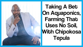 YALI Interview - Aquaponics Farming in Zambia, W/ Chipokosa Tepula | It's Iveoma