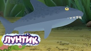 Лунтик | Пруд 🐬🐳 Сборник мультфильмов для детей