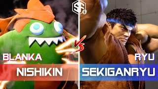 SF6 ▰ NISHIKIN (Blanka) vs SEKIGANRYU (Ryu) ▰ High Level Gameplay