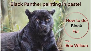 Black Panther Painting in Pastel - How to do Black Fur. #pasteldrawing #pastelpainting #wildlife