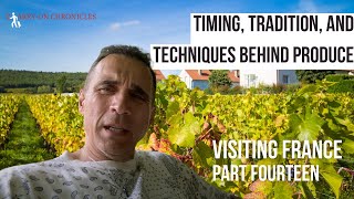 Timing, Tradition, and Techniques Behind Produce | Carry-on Chronicles | France