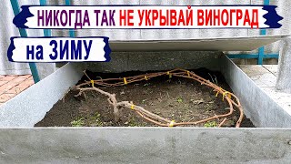 🍇 Никогда НЕ УКРЫВАЙ ТАК ВИНОГРАД на зиму. Зачем допускать такую ОШИБКУ и отсекать тепло от лозы?