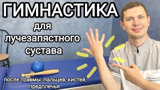 Гимнастика после травмы кистей, пальцев, предплечья / Упражнения для лучезапястного сустава