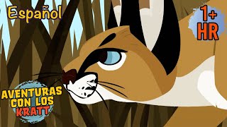 El salto del caracal [episodios completos] Aventuras con los Kratt