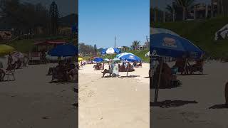 There is a lot of BEACH umbrellas at the WONDERFUL praia do Campeche in Brazil #shorts #beaches #sun