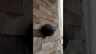 Independent house in Jadavpur || Property in Kolkata for sale || Kolkata property market update