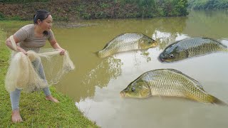 The girl cast a net into the stream during the flood season and caught many big fish