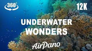 Underwater Wonders, Red Sea, Egypt. 8K 360 video