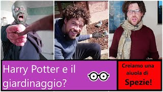 Giardinaggio con Harry Potter: come creare un'aiuola di spezie