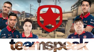 TEAMSPEAK | Gambit vs NAVI w/ Dosia, AdreN, seized, Hobbit