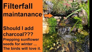 Filter-fall maintenance, Should I add charcoal to my pond?