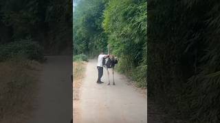 Beyond Horses: The Thrills of Ostrich Riding! #amimals#funnyvideo #funnyshorts  #cutefunny