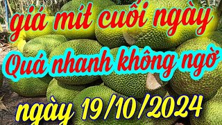 giá mít cuối ngày 19/10/2024