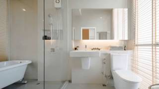 Top Bathroom Window Design Ideas