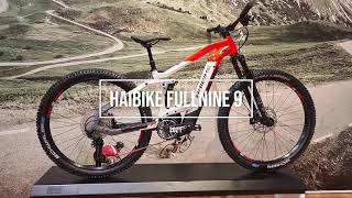 Haibike FullNine 9 (2021) VAE