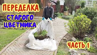 Переделка старого цветника. Вместо старых роз - взрослые гортензии! Часть 1.