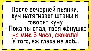 Как после пьянки, жену кума понесло! Сборник свежих анекдотов! Юмор!