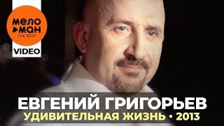 Евгений Григорьев (Жека) - Удивительная жизнь - Концерт в Меридиане  2013