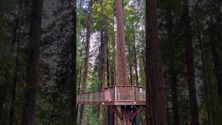 Walking on air with a skywalk in this incredible spot. #SkywalkAdventures #skywalk #eurika