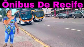 Terminal Cais De Santa Rita | Movimentação Urbana Em Recife