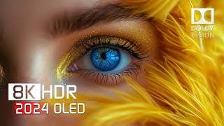 The Best Dolby Vision™ 8K HDR 60 FPS