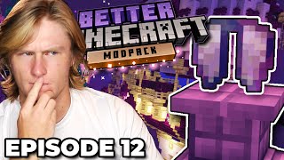 BETTER MINECRAFT MODPACK EP 12 | Exploring the Better End (1.17)