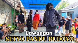 Dawangan • Setyo Pandu Budoyo • Live Ngawensari - Ringinarum Kendal Terbaru 2023