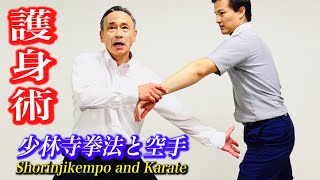 Self Defense Techniques of Shorinji Kempo and Karate!