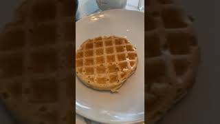 Honest Review of Dash Mini-Waffle Maker