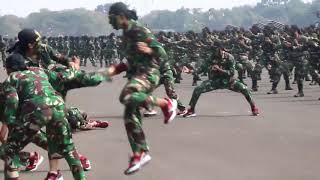 TNI penjaga kadaulatan NKRI