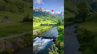 Nature sounds WhatsApp status | respect nature 💕