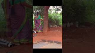 ಅಕ್ಕರಕಿ ಪಚಡಿ  #villagefood #villagelife #viralvideo #viralshorts #village