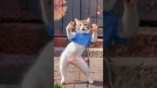 cat dance ❤️🌹#trending #cute #catvideos #viralvideo #shorts #ytshorts #reels #viralshorts