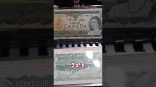 Currency 3 of 6 shorts #currency  #money #shorts #short