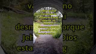 NO TEMAS. #dios #viral #amor #shortvideo #fe #frases #oracion #reflexiones