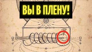 Ты в ловушке МАТРИЦЫ, ОСВОБОДИСЬ за 3 дня с помощью этого МЕТОДА