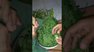 Membuat Sayur Kelor #youtubeshorts