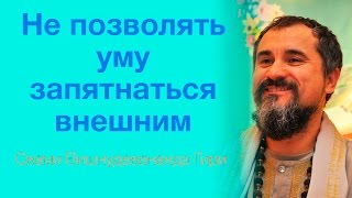 Сатсанг "Не позволять уму запятнаться внешним", Свами Вишнудевананда Гири