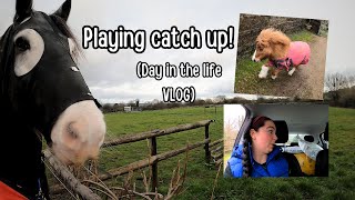 This is what I get for having a lazy day! / Day in the life  / Equestrian VLOG