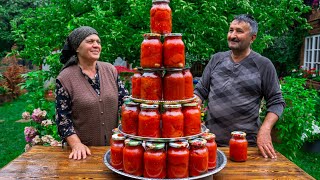 Fresh Tomatoes Harvesting from Garden and Preserving for Winter