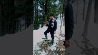 Shimla Snowfall today || Snow in Shimla || Kufri Snowfall || Shimla Snowfall Update