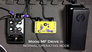 TWA Side Step Expression LFO and the Moog MF Drive