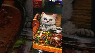 Cats Puzzles By Buffalo #puzzles #jigsawpuzzle #puzzle #jigsawpuzzlegames #puzzlesvideo