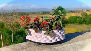 Very Easy and Unique Technique of Making a Cement Planter | Useful Cement Craft Casting Idea