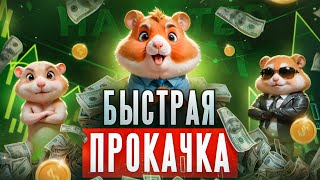 БЫСТРАЯ ПРОКАЧКА в Hamster Kombat / Обзор Игры ХАМСТЕР КОМБАТ