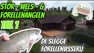 Forellenangeln bei De Slegge Teil 1 + Stör und Welsangeln #forellenangeln #angeln #fishing