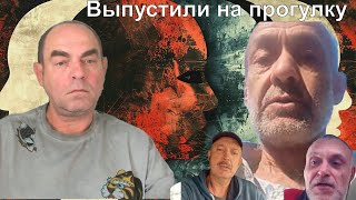 Выпустили на прогулку